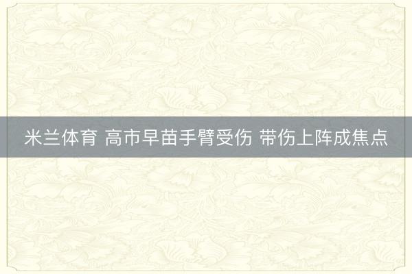 米兰体育 高市早苗手臂受伤 带伤上阵成焦点