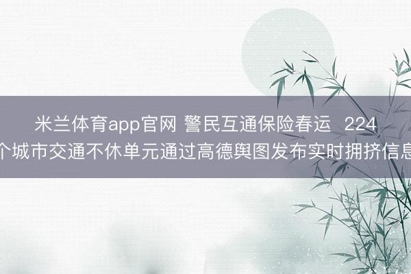 米兰体育app官网 警民互通保险春运  224个城市交通不休单元通过高德舆图发布实时拥挤信息