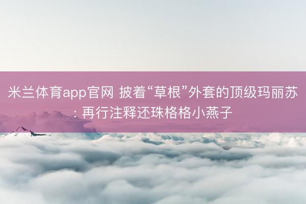 米兰体育app官网 披着“草根”外套的顶级玛丽苏: 再行注释还珠格格小燕子