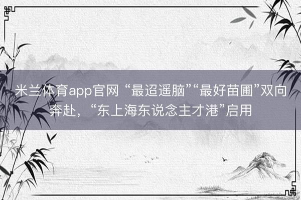 米兰体育app官网 “最迢遥脑”“最好苗圃”双向奔赴，“东上海东说念主才港”启用