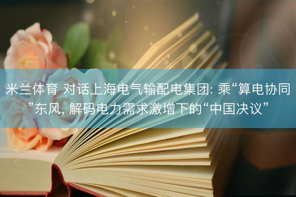 米兰体育 对话上海电气输配电集团: 乘“算电协同”东风， 解码电力需求激增下的“中国决议”